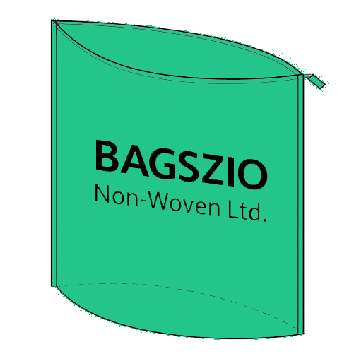 SHOES BAG